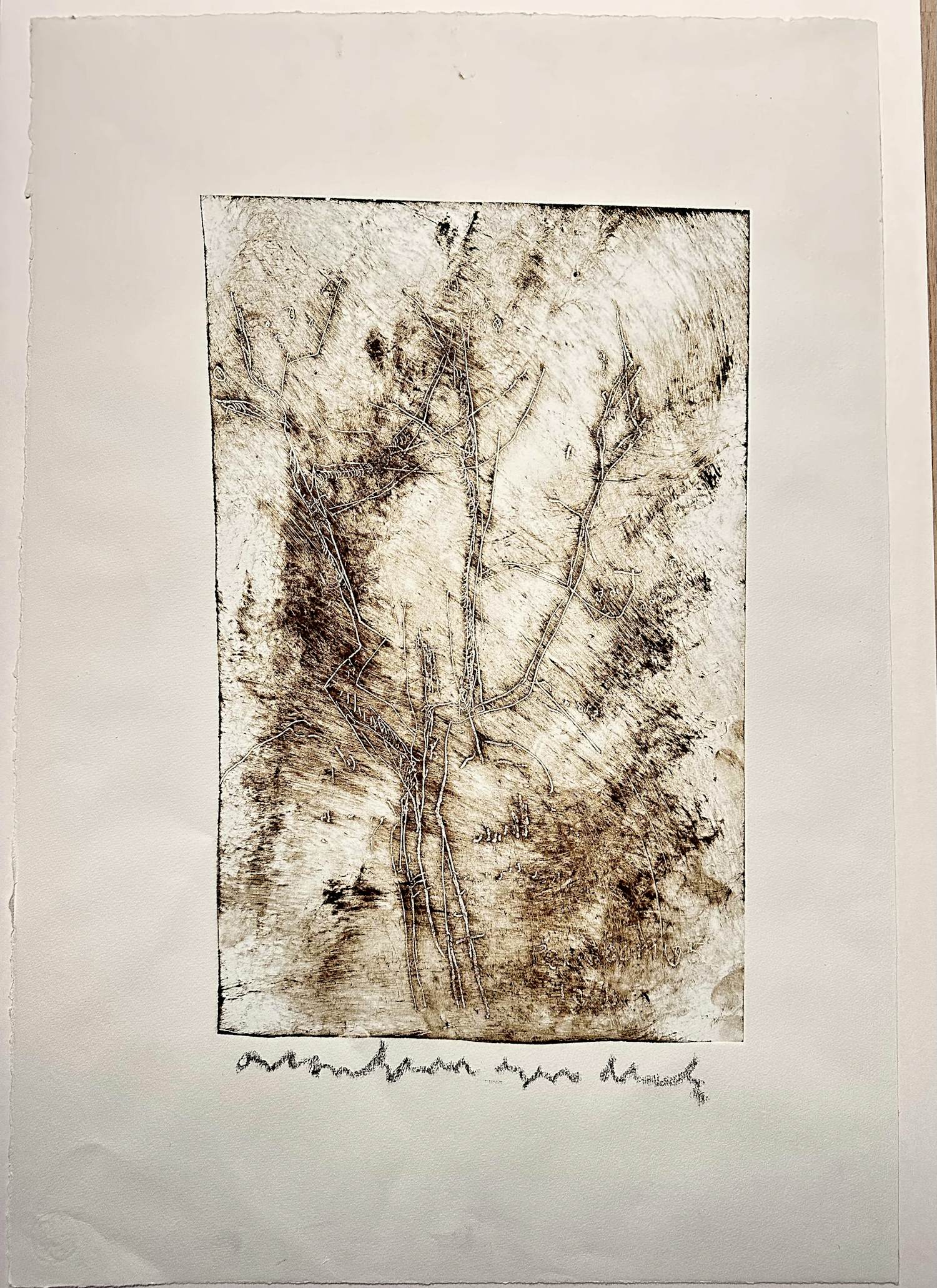 Anton Heyboer - Perenboom kopen? Bied vanaf 200!