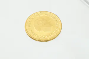 massief gouden (900/1000)  100 Gulden munt Nederlandse Antillen (1978) kopen? Bied vanaf 300!