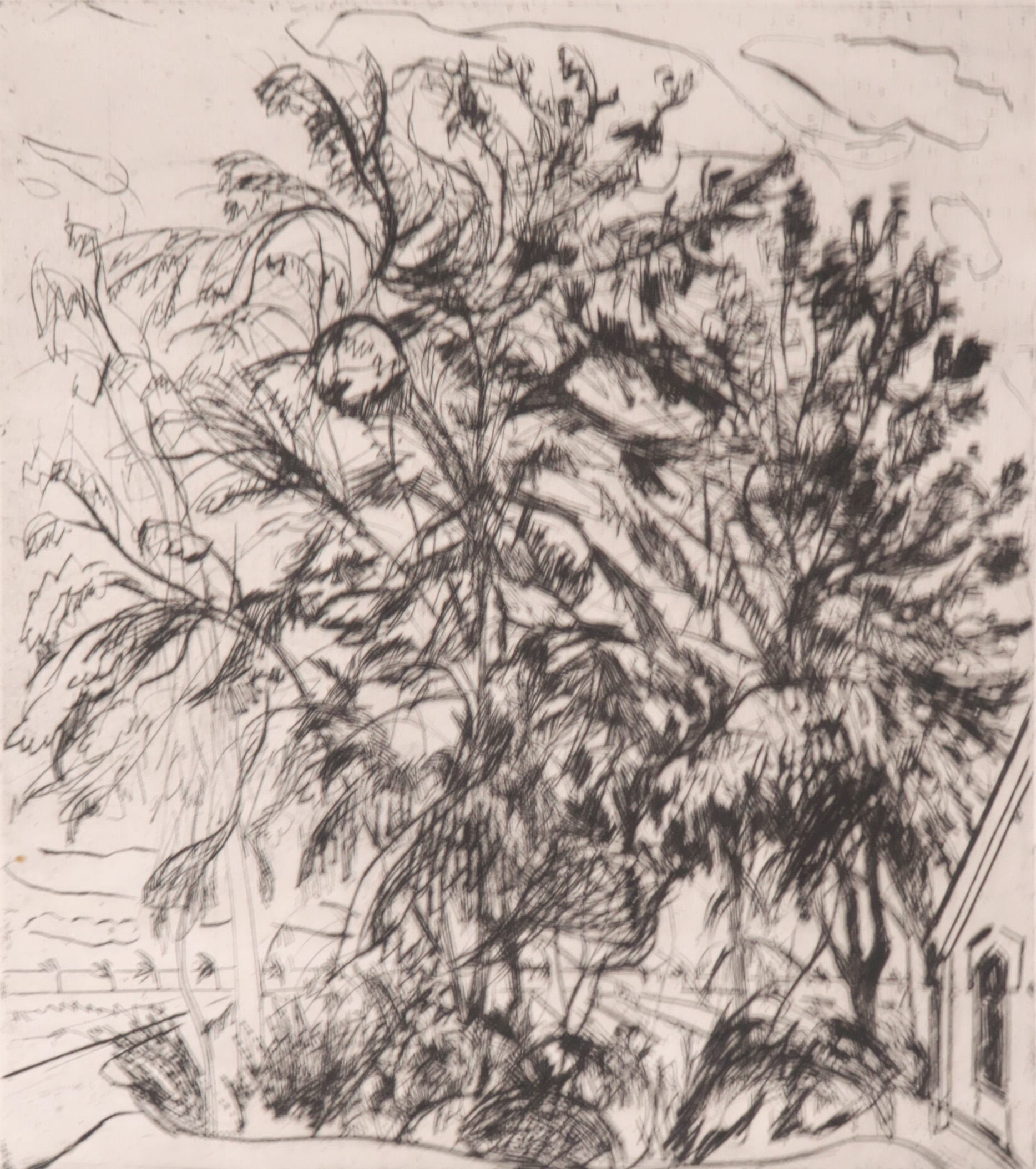 Peter Bes - Ets, Bomen, 1969 verkocht voor € 35!