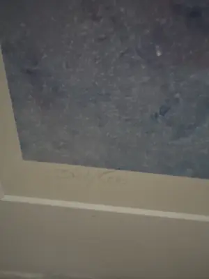 Maya Wildevuur - Maya Wildevuur - Geisha (1991) kopen? Bied vanaf 250!