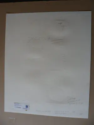 Willy van der Duyn - Houtsnede. Titel, "Traan van de aap". kopen? Bied vanaf 40!