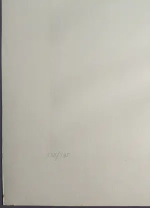 Heinz Mack - gesigneerde zeefdruk kopen? Bied vanaf 499!