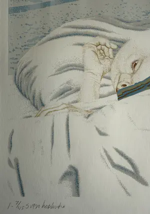 Sven Hoekstra - kleurenzeefdruk | 'Masker voor een kaal hoofd I' kopen? Bied vanaf 20!