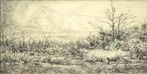Ton Pape - landschap - inkttekening verkauft für € 35!