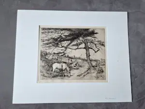 Adrianus Johannes Grootens - Fraaie jaren 30 zeefdruk "in de duinen" - potlood-gesigneerd kopen? Bied vanaf 28!