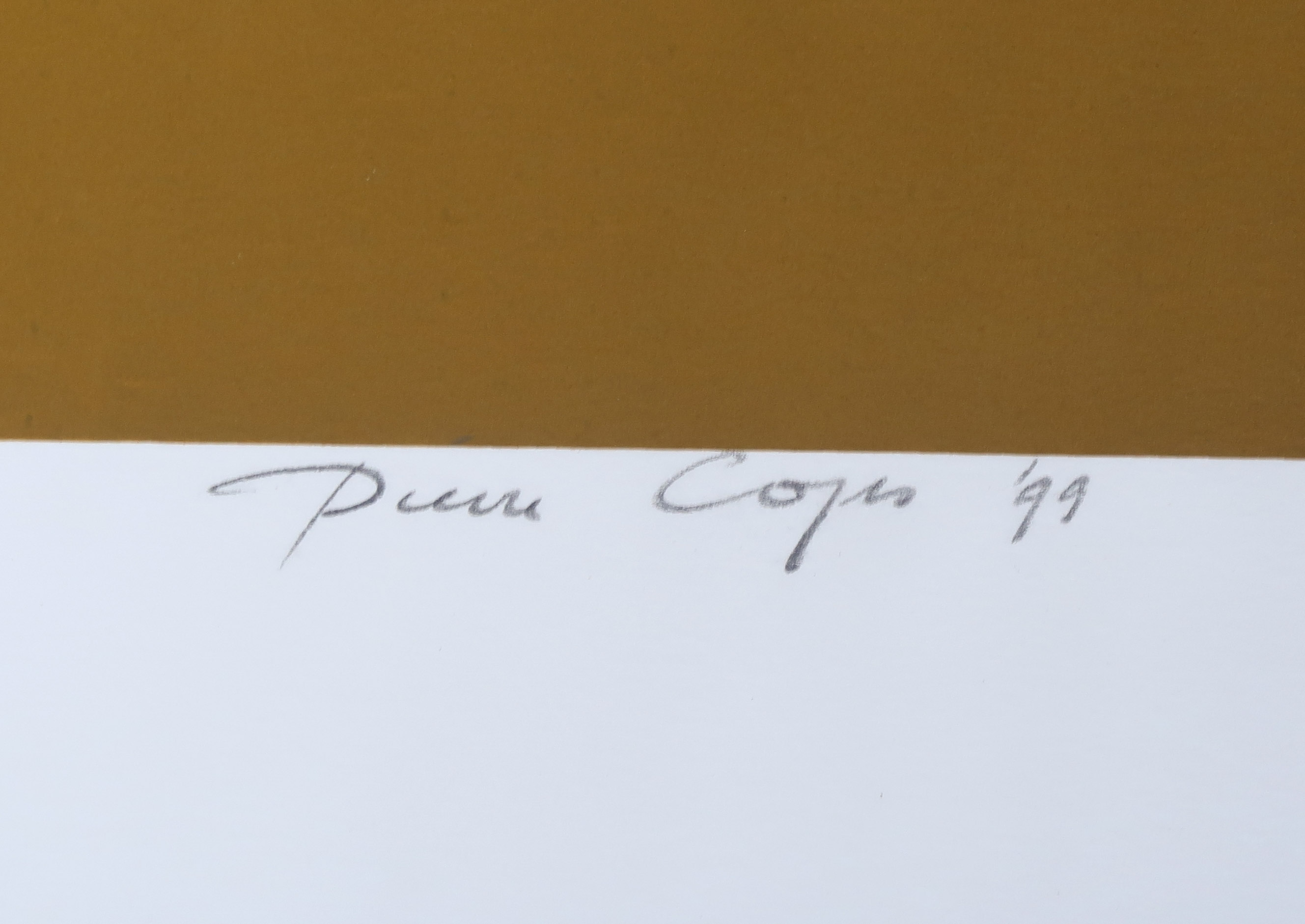 Pierre Cops - Zeefdruk, Zonder titel (Groot!) kopen? Bied vanaf 1!