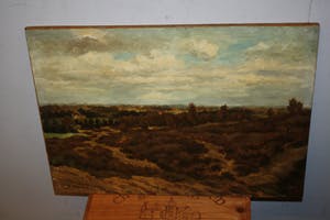 Thijs Mauve - DUINLANDSCHAP nabij SCHOORL kopen? Bied vanaf 100!