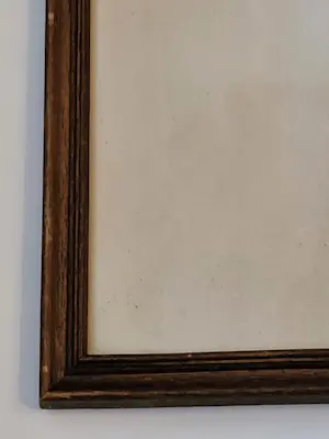 Tijmen Moll - Portret van een uil kopen? Bied vanaf 125!