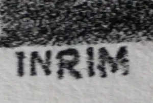 Peter Vos - Litho: Inrim kopen? Bied vanaf 150!