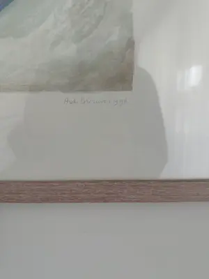 Ardi Brouwer - Binnenplaats kopen? Bied vanaf 40!