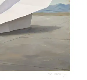 Mr Strange - Luchthaven kopen? Bied vanaf 85!