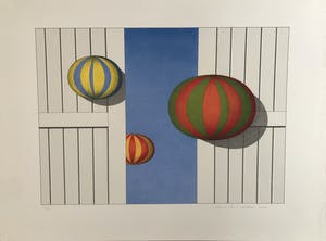 Marinus Fuit - Ballonnen kopen? Bied vanaf 40!