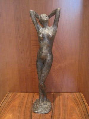 Adri de Waard - Poserend naakt kopen? Bied vanaf 320!