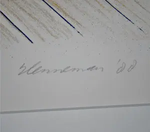 Jeroen Henneman - Watervrouw (1988) - grote litho, oplage 15/80 kopen? Bied vanaf 125!