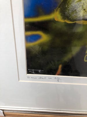 Eric Paelman - a new start in life kopen? Bied vanaf 1!