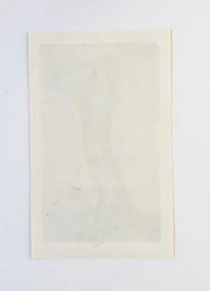 Pieter Dupont - Knotwilg kopen? Bied vanaf 50!