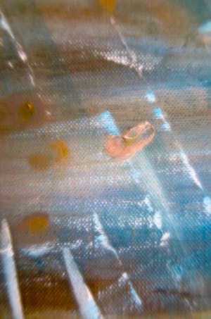 Bitia Rosendor - View on the future - Landschappelijk perspectief kopen? Bied vanaf 1!