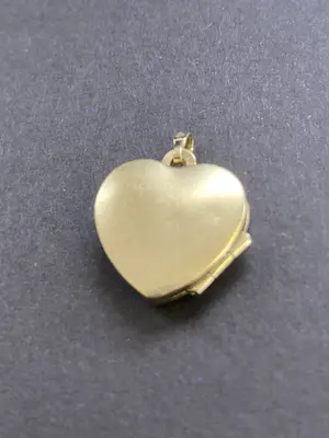 14 karaats bicolor gouden hartvormig medaillon kopen? Bied vanaf 140!