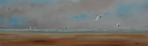 Franklin Meijer - Waddenzee met kokmeeuwen kopen? Bied vanaf 35!