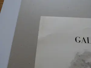 Salvador Dali - Die sieben Todsünden kopen? Bied vanaf 180!