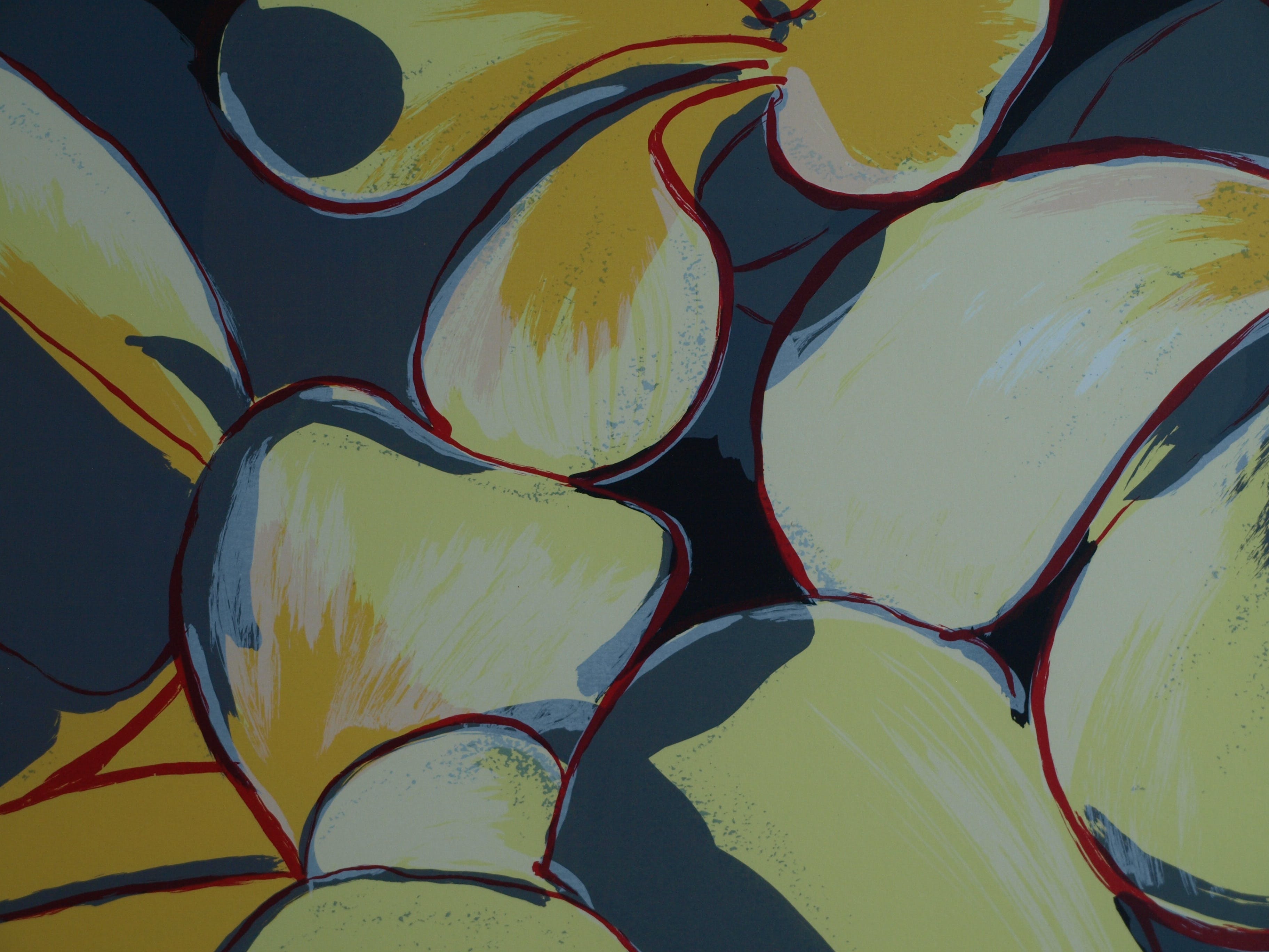 Frank Rosen - Zeefdruk , Boombloem - gesigneerd & ingelijst - 1996  kopen? Bied vanaf 50!