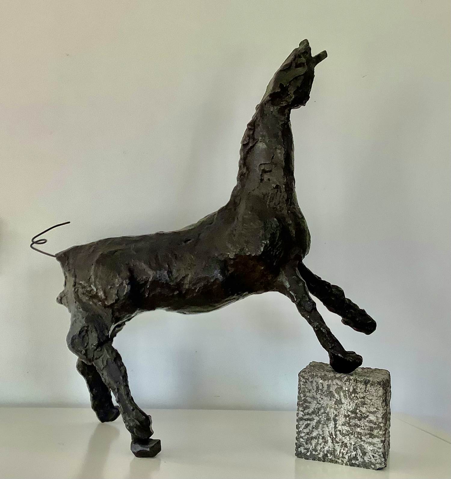 Ger Lataster - Paard kopen? Bied vanaf 975!