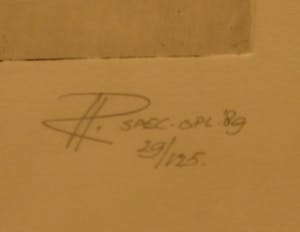 Niet of onleesbaar gesigneerd - Titel onbekend, 1989, 29/125 - Ets op papier kopen? Bied vanaf 10!