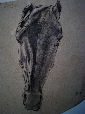 Pieter Dupont - Jonggestorven Alleskunner - 2 orig. potlood tekeningen "Paard en Schedel" gesign kopen? Bied vanaf 20!