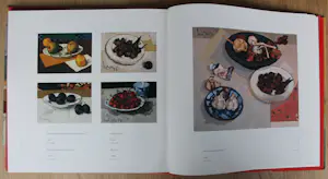 Kees Bol - Kunstboek, geschreven door Marten beks (gesigneerd) kopen? Bied vanaf 59!