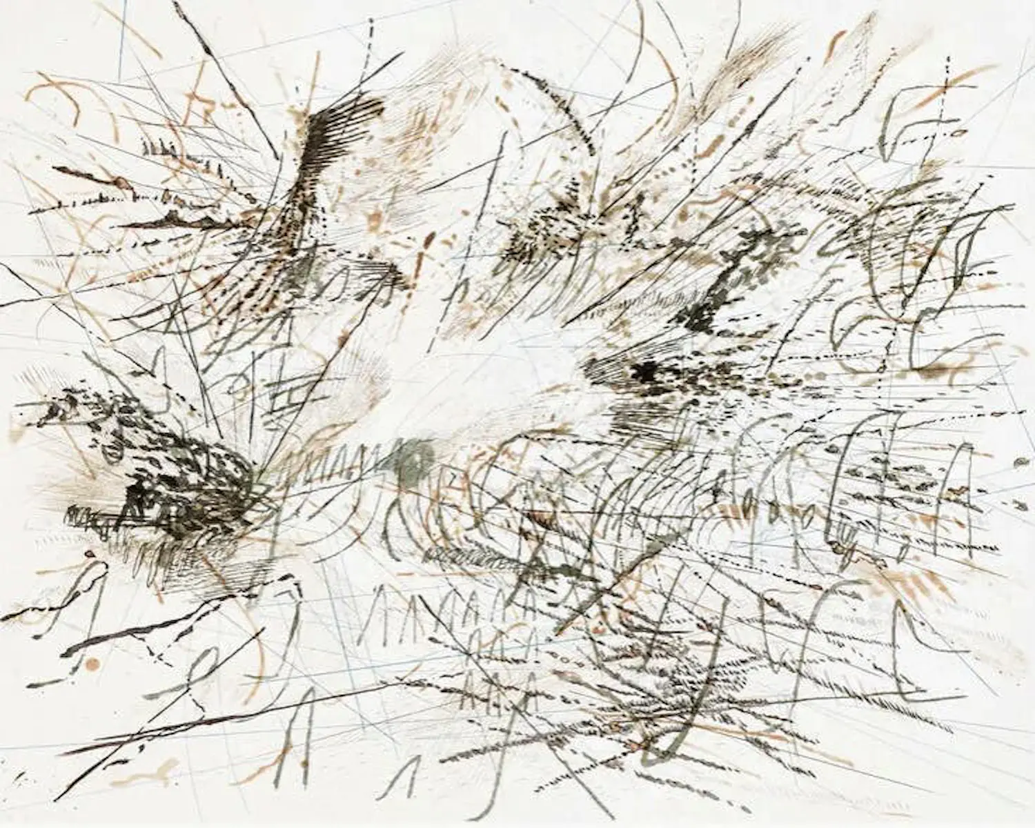 Julie Mehretu