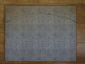 Rieneke Gollnau - Klaprozen kopen? Bied vanaf 40!