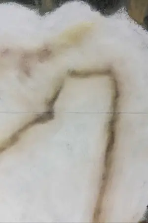 Martin van Vreden - Pastel op papier, Bloemen - Ingelijst (Zeer groot) kopen? Bied vanaf 250!