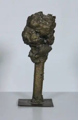 Geurt van Dijk - Brons, Boompje kopen? Bied vanaf 150!