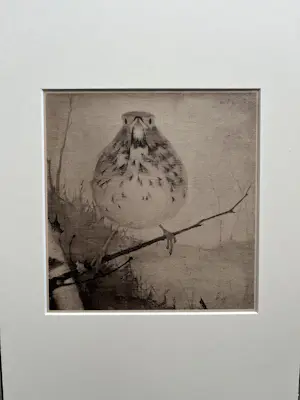 Jan Mankes - Originele Heliogravure Lijster op Tak 1923 kopen? Bied vanaf 185!