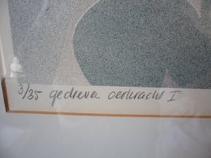 Juul Kortekaas - Zeefdruk. Titel,"Gedreven oerkracht". kopen? Bied vanaf 30!