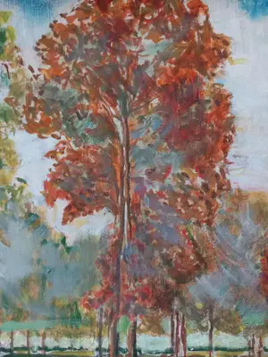 Prins Karel Van Vlaanderen - Weide in Limburg kopen? Bied vanaf 200!