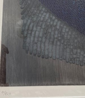 Arthur Luiz Piza - gesigneerde relief ets met aquatint - ingelijst. kopen? Bied vanaf 1!