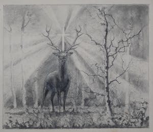 Floris Tiele - 9x diertekening van reeën kopen? Bied vanaf 39!