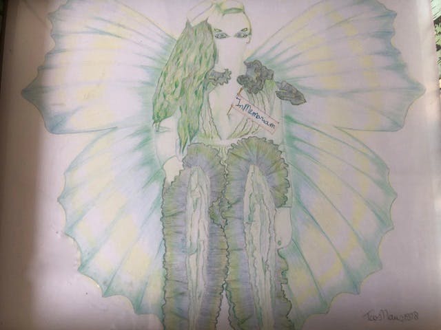 Catharina Naus - 4 heel aparte werkjes waarvan ook de lijst een kunstwerk is. kopen? Bied vanaf 35!