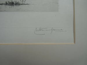 Carel Nicolaas Storm van 's-Gravesande - DORDRECHT-GEZICHT BIJ DE BIESBOSCH kopen? Bied vanaf 40!