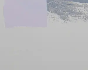 Marian Plug - Boom - eigen druk kopen? Bied vanaf 40!