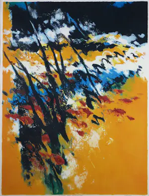 Mattie Schilders - Zeefdruk op papier, Vermeende hand van evolutie - Ingelijst (Groot) kopen? Bied vanaf 60!