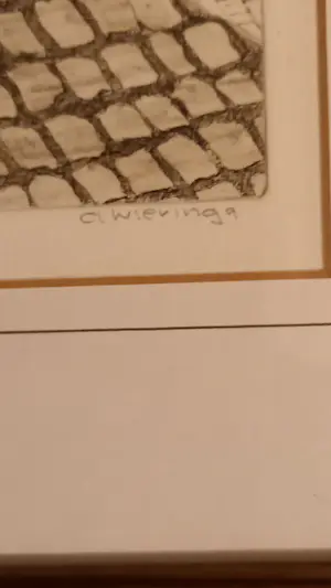 Jan A. Wieringa - de Ertepeller kopen? Bied vanaf 25!