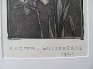 Anna Egter van Wissekerke - narcissen kopen? Bied vanaf 50!