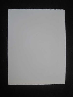 Herman Berserik - Zeldzame & grote Ets "verdraaide Pop" ZEER KLEINE OPLAGE (15ex) hand gesigneerd kopen? Bied vanaf 67!