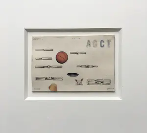 Reinier Lucassen - collage - ‘AGCT’ - ingelijst kaufen? Bieten Sie von 150!
