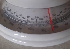 Niet of onleesbaar gesigneerd - Ganesha beeld brons toegesrijven aan 19e eeuw, uit Tibet kopen? Bied vanaf 1!