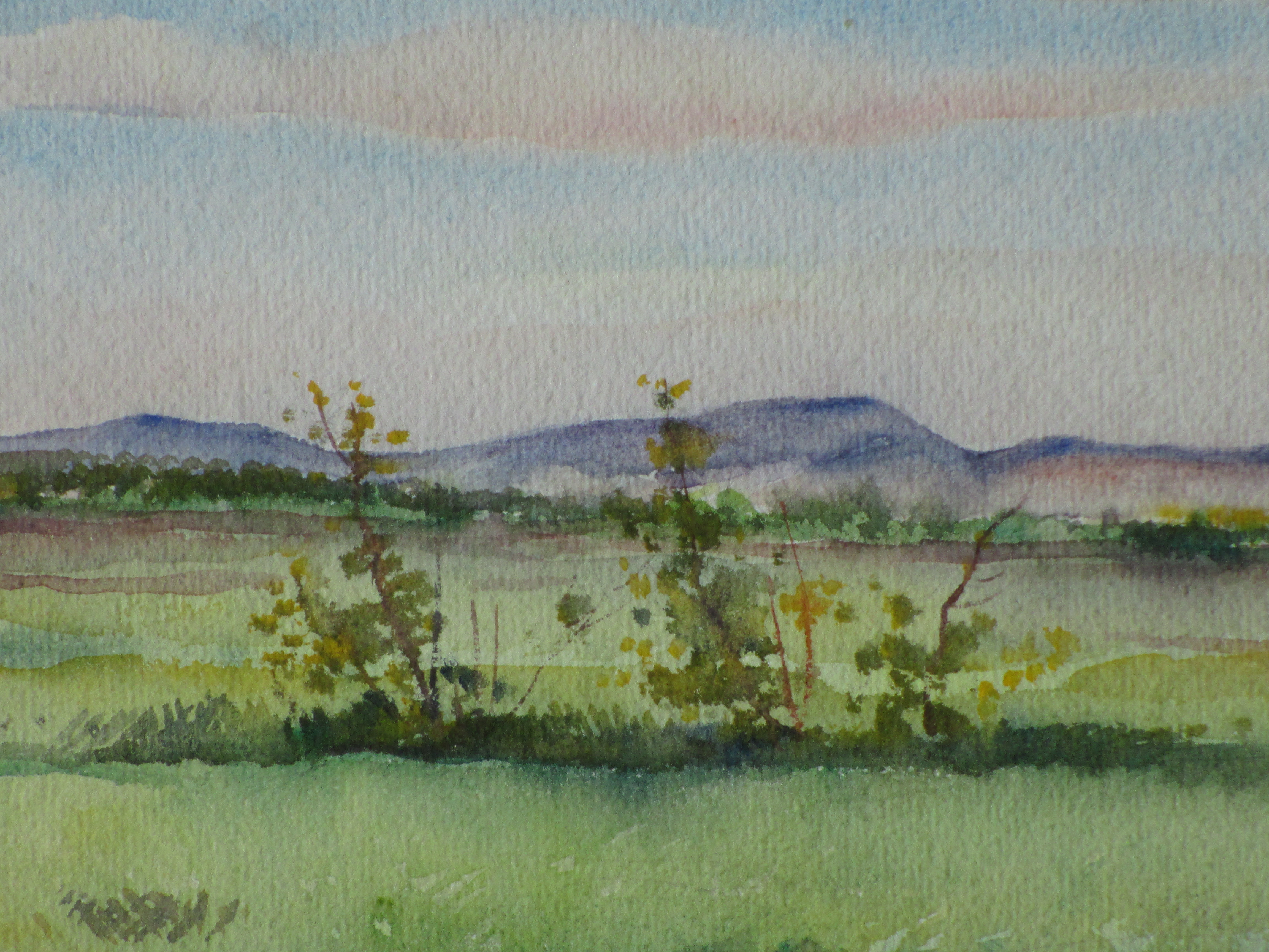 Han Krug - Witte Duinen Renesse - Aquarel 1940 kopen? Bied vanaf 20!