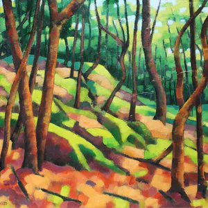 Willem Visser - Bos in de Ardèche kopen? Bied vanaf 85!