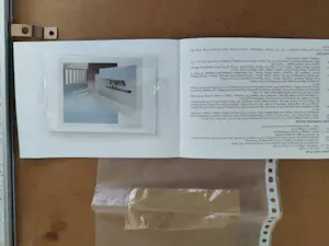 Richard Davies - Wingspread kopen? Bied vanaf 150!